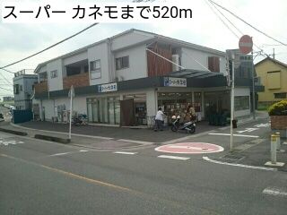 近くのスーパー カネモまで520m(徒歩7分)