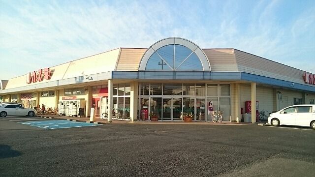 近くのカスミ花崎店まで550m（徒歩7分）