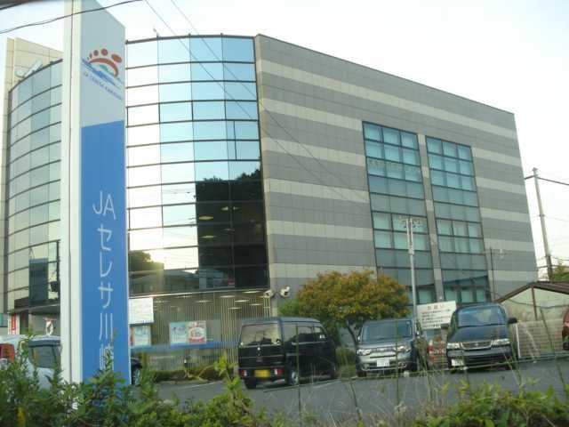 近くのJAセレサ川崎橘支店まで516m（徒歩7分）