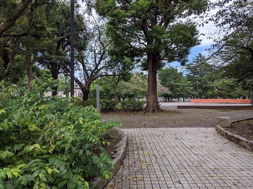 近くの板橋区平和公園まで172m(徒歩3分)