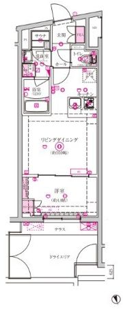 ベルシードステアー西早稲田の間取り画像