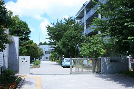 近くの世田谷区立船橋小学校まで968m(徒歩13分)