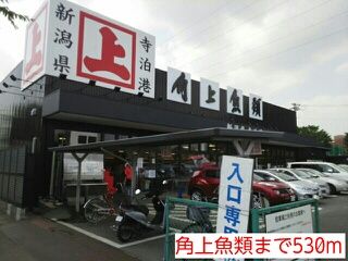 近くの角上魚類まで530m(徒歩7分)