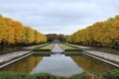 近くの国営昭和記念公園まで4,147m(徒歩52分)