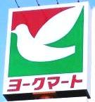 近くのヨークマート ハレノテラス東大宮店まで1,313m(徒歩17分)