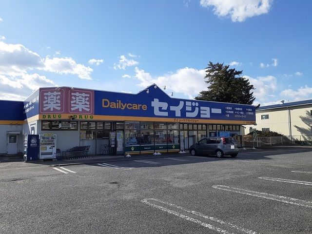 近くのセイジョー 大宮七里店まで800m(徒歩10分)