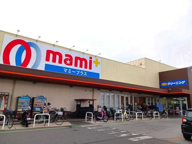 近くのマミーマートプラス柏根戸店まで600m(徒歩8分)