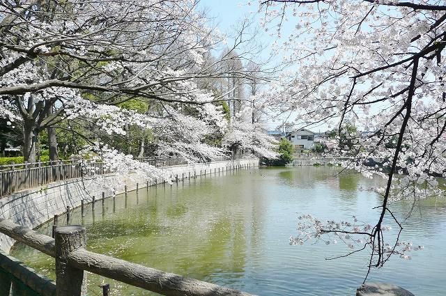 近くの碑文谷公園まで500m(徒歩7分)