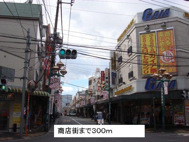 近くの商店街まで300m(徒歩4分)