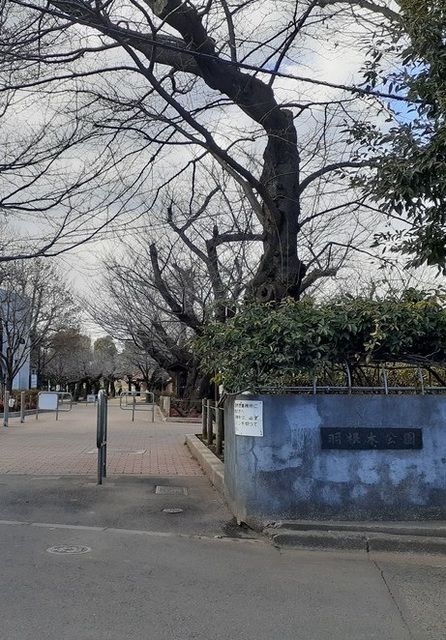 近くの羽根木公園まで500m（徒歩7分）