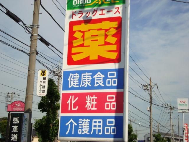 近くのドラッグ・エース岸町南店まで350m(徒歩5分)