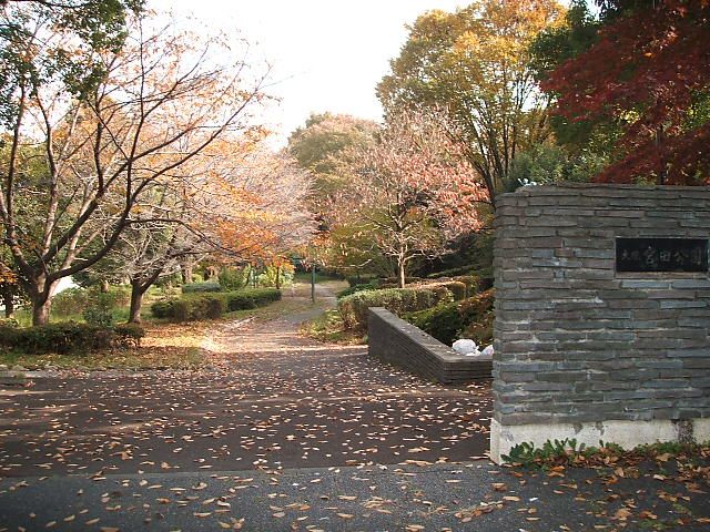 近くの大塚1号緑地まで327m(徒歩5分)