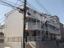 レオネクスト中川IIIの間取り画像