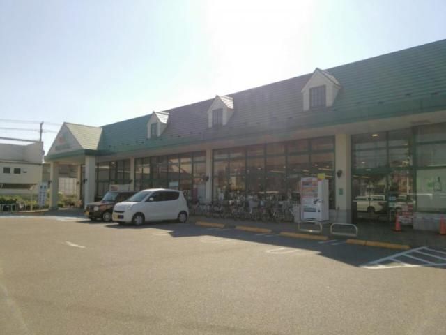 近くのマルエツ馬込沢店まで733m(徒歩10分)