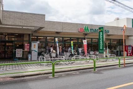 近くのマルエツ 田柄店まで1m（徒歩1分）