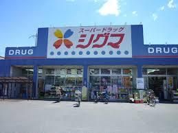 近くのスーパードラッグシグマ花園店まで729m（徒歩10分）
