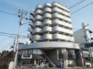 パール9の間取り画像