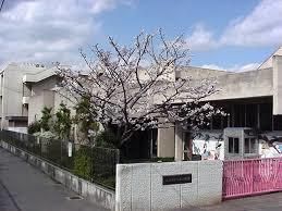 近くの八尾市立大正幼稚園まで1,139m（徒歩15分）