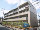 メゾン新町の間取り画像