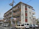 桜ヶ丘レジデンスの間取り画像