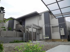 珊瑚の外観画像