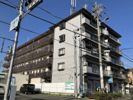 メゾンド石本の間取り画像