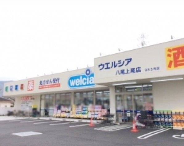 近くのウエルシア八尾上尾店まで869m（徒歩11分）