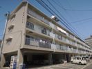 光陽ハイツ （上之島町北）の間取り画像