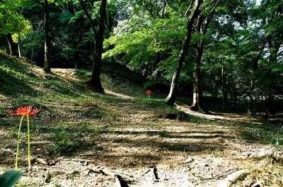 近くの城山古墳史跡公園周濠花菖蒲園まで1,498m（徒歩19分）