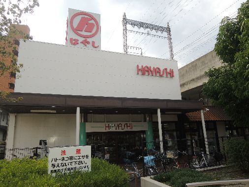 近くのHAYASHI八尾店まで316m（徒歩4分）