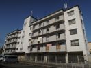 岩崎ハイツの間取り画像