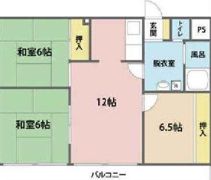 岩崎ハイツの間取り画像