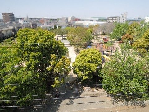 近くの美園公園まで406m(徒歩6分)