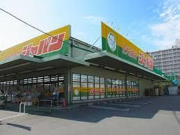 近くのジャパン 東大阪若江店まで896m（徒歩12分）