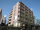 レジデンス八楽の間取り画像