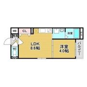 1er Camelliaの間取り画像
