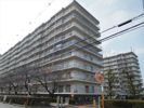 八尾山本レックスマンション 分譲賃貸の間取り画像