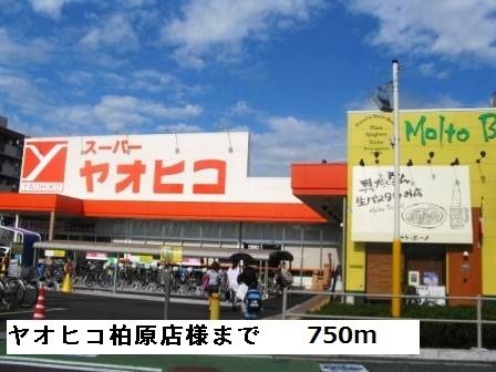 近くのヤオヒコ柏原店様まで750m（徒歩10分）