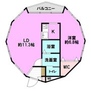 シェルコートの間取り画像