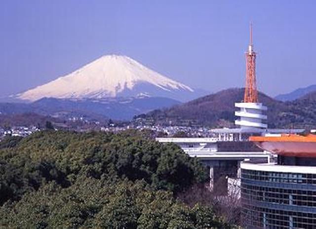 近くの私立東海大学まで402m（徒歩6分）