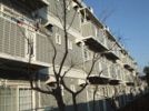 サープラス伊勢原PIIIの外観