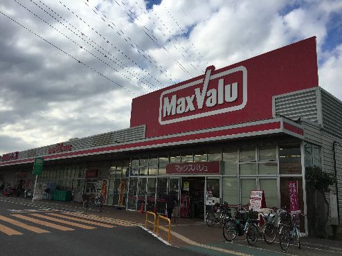 近くのマックスバリュ 平塚河内店まで382m（徒歩5分）