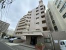 日神パレステージ藤沢の外観
