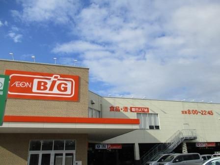 近くのThe Big（ザ・ビッグ） 平塚真田店まで749m（徒歩10分）