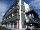 ステラコートの間取り画像
