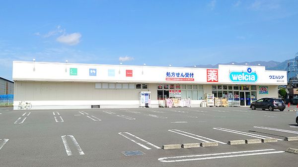 近くのウエルシア秦野平沢店まで270m（徒歩4分）