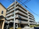 本厚木ネオハイツ元町の間取り画像
