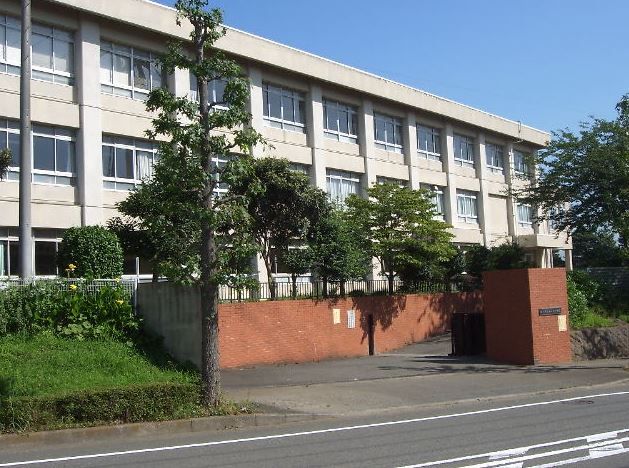 近くの藤沢市立滝の沢小学校まで765m(徒歩10分)