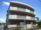 アールコート槇の間取り画像