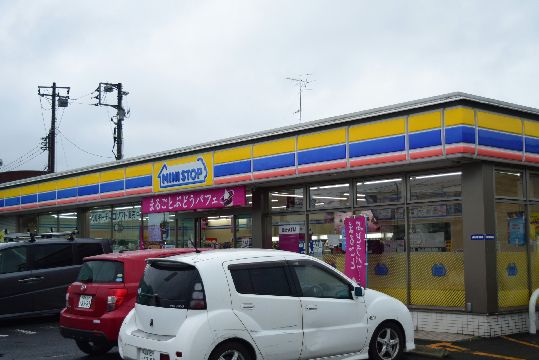 近くのミニストップ 平塚高村店まで704m（徒歩9分）